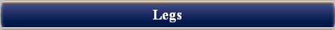  Legs 