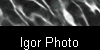  Igor Pictures 
