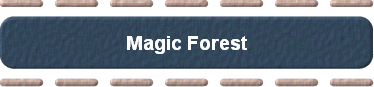  Magic Forest 