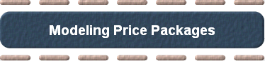  Modeling Price Packages 