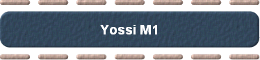  Yossi M1 