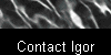 Contact Igor 