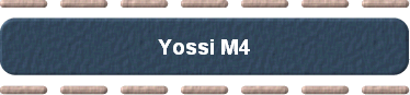  Yossi M4 