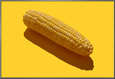 Corn_port