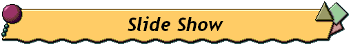  Slide Show 
